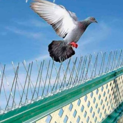 Umang Bird Net Company