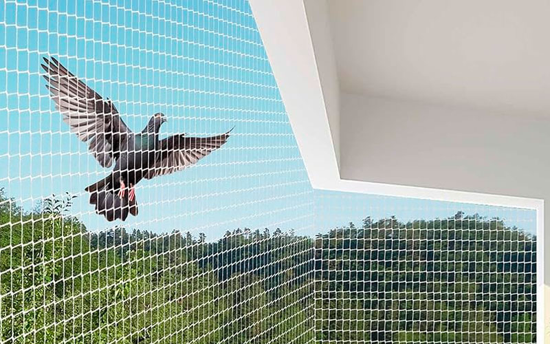 Plastic Anti Bird Net Services