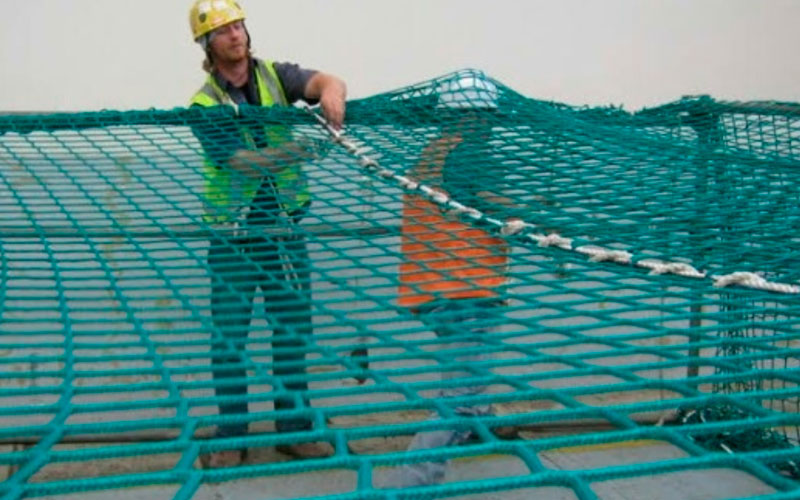 Safety Net Services